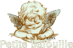 J'�crirais .... Par moi-m�me !