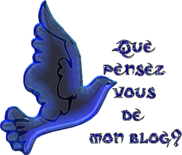  Bon ... Ou ...  Mauvais  ? 