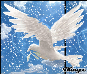 @ toi Ma Tite Colombe ....